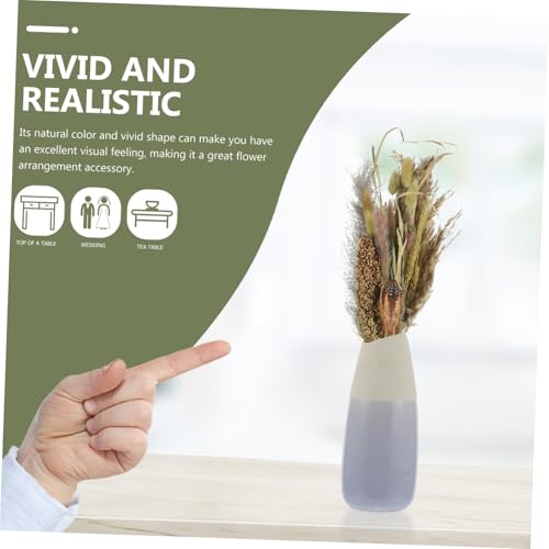 Ramo de Pasto Pampas Seco Natural para Decoración Boho miniatura 5