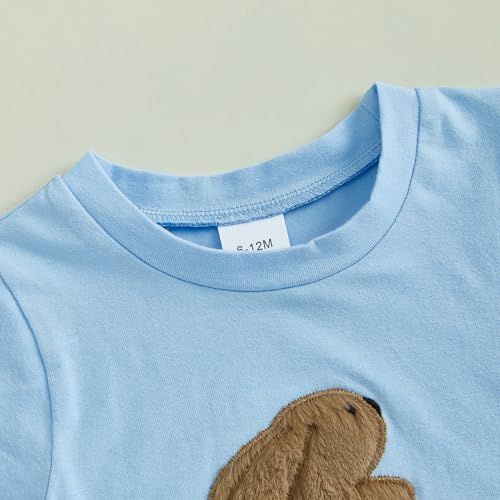 Image of Toddler Baby Boy Easter Rabbit Outfit Short Sleeve Bunny Carrot Smocked T-shirt Elastic Waist Shorts Summer Clothes