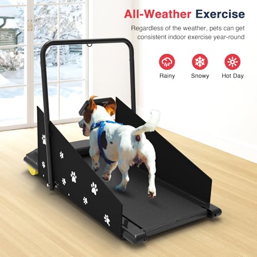 Redliro Dog Treadmill - Pet Indoor Treadmill for Medium/Small Dogs - Weight Capacity 265 lbs - Dog Fitness Running Machine with Remote Control & Display Screen (Black)