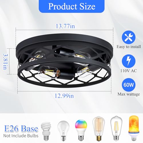 Image of SKEJAO Flush Mount Ceiling Light Fixture,Ceiling Light Fixture for Hallway, Black Hallway Light Fixtures Ceiling,Light Fixtures Ceiling Mount for Kitchen,Farmhouse,Hall (2 Pack) (13.99inch)