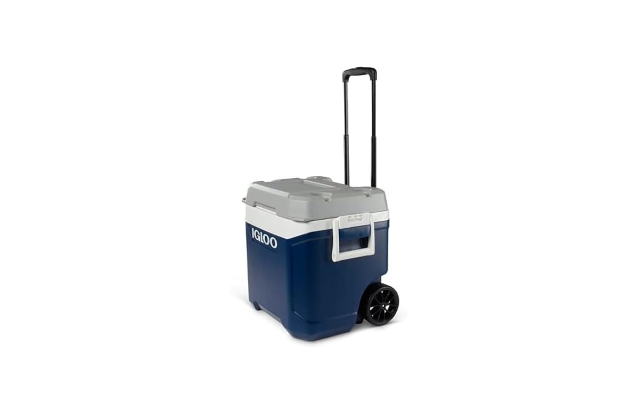 igloo イグルー　MAXCOLD マックスコールド　62QT 58L Amazon | IGLOO イグルー マックスコールド クーラーボックス