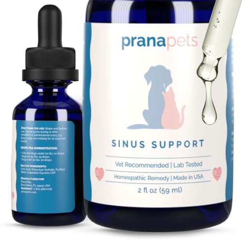 10 Best Nasal Spray For Dogs