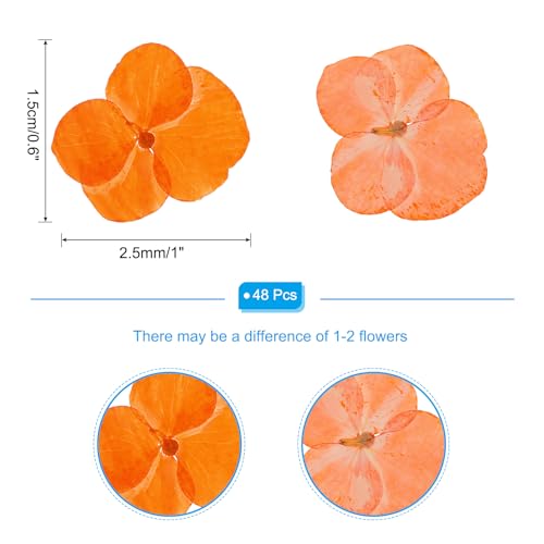 Flores prensadas secas PATIKIL, 48 unidades, naranja miniatura 2