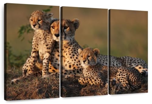 ElephantStock - Safari Cheetah Family Wall Art - Horizontal Multi