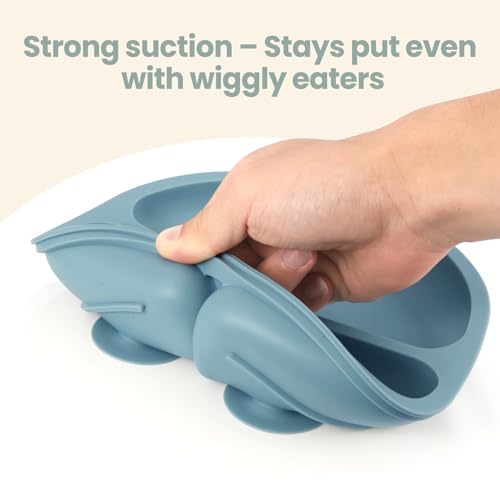 Image of Eascrozn 2 Pack Baby Plates with Suction, 2 Pack Silicone Forks and Spoons Set, Baby Led Weaning Supplies, BPA Free, Toddler Utensils for Feeding Essentials