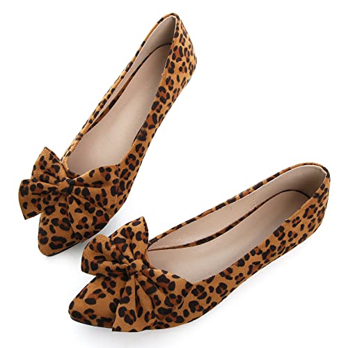 Image of Dear Time Women's Ballet Flats Dress Ballet Shoes Slip on for Office Work Comfortable Shoes