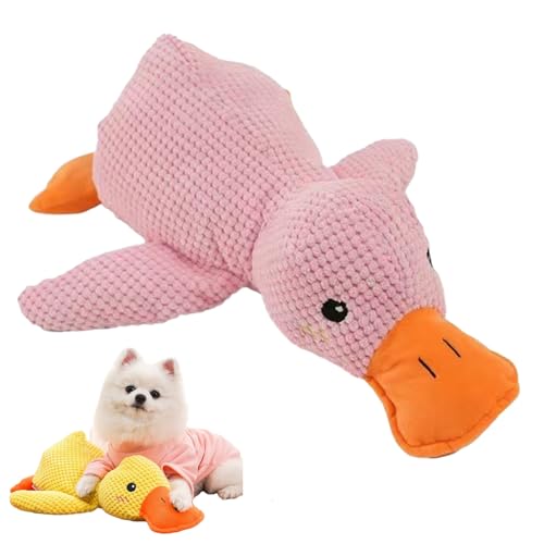 SAKURAN p   Aq ʂ v _炩f ΍ m XgXy 􂦂 ^ ^ ^ (sN, L)