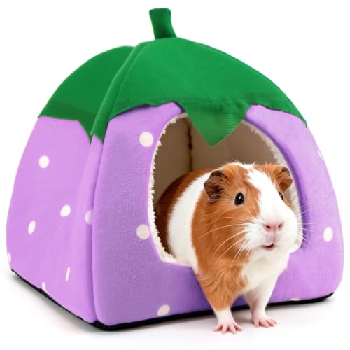 Tierecare Guinea Pig Hideout Bed, Dwarf Rabbit House Cave