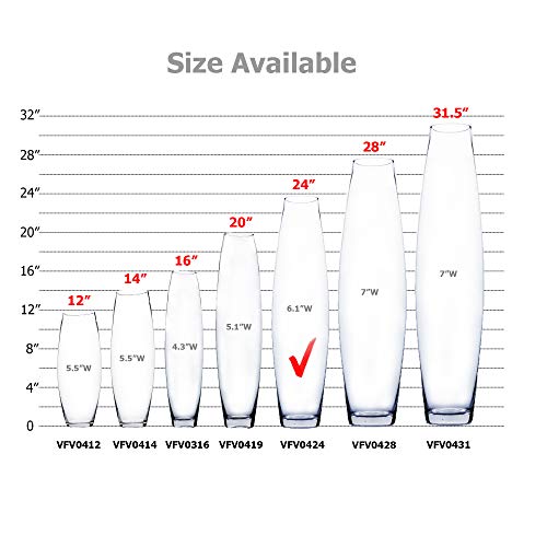 Wgv Tall Bullet Glass Vase, Width 6", Height 24", (Multiple Sizes Choices) Clear Oval Urn Floral Planter Container Storage Centerpiece, Wedding Event Home Decor, 1 Piece (Vfv0424) #TOP2