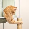 Kitty City Cozy Cube Retreat Cat Tower with Tunnel, Scratching Post & Hanging Toy, Dual-Level Indoor Cat Play Furniture for Climbing, Hiding & Lounging, Green