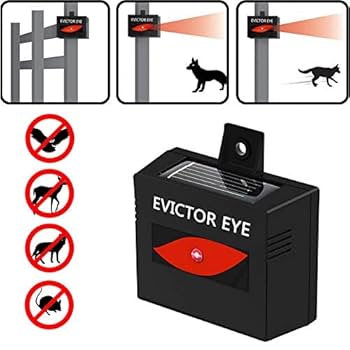 “KEEP YOUR EYES”エイリアン　PR+ 51DZLDh68tL._UF894,1000_QL80_.jpg