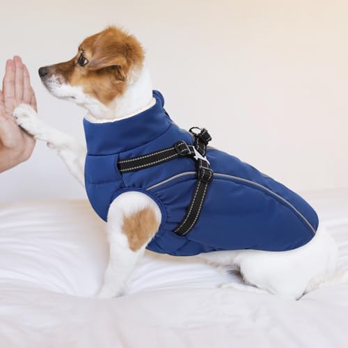 CITÉTOILE Hundemantel Hundejacke Warm Wintermantel mit Reißverschluss Winddichte & Winddichte mit Reflektorstreifen & Brustgurt für kleine Mittel Große Hunde Blau M