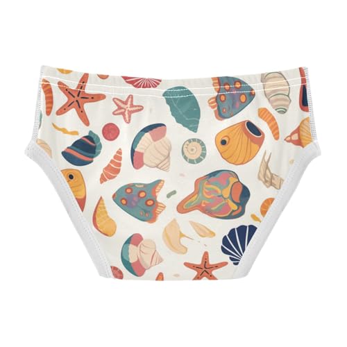 KLL Seashells Different Shapes and Starfish Toddler Boys Pure Cotton Nighttime Underwear Cute Undies2