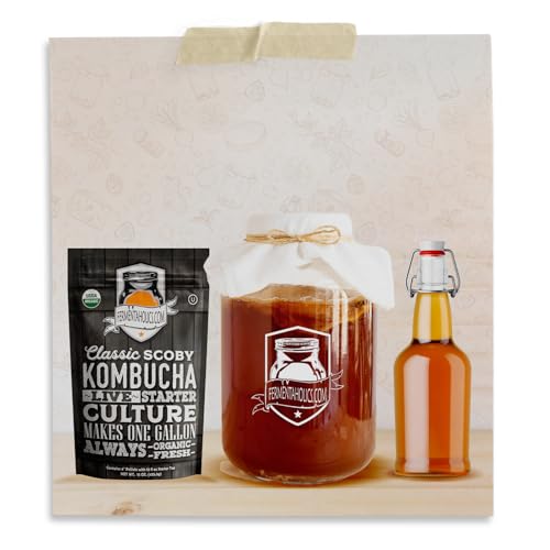 Kit de garrafas Kombucha – Inclui 7 garrafas de tampa de vidro + funil de silicone compacto dobrável