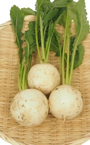 xW^un[g   Ju _͔| 3`5O×5