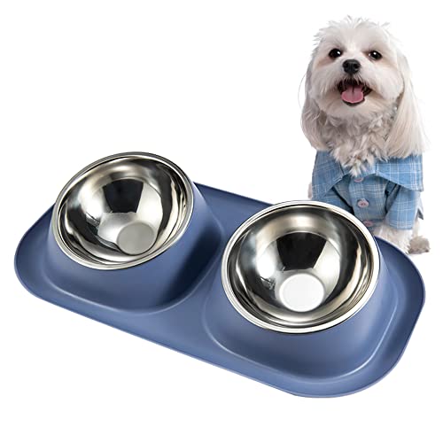 Dog Bowls Tilted Anti Spill Pet Feeder Bowl Removable Double Stainless Steel Food and Water Bowl Set Non Slip Easy to Clean Dog Dish
