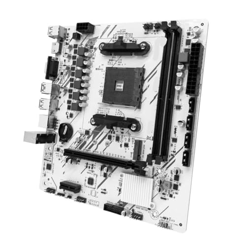 }U[{[h AM4 M 2 NVME B450 ZSUS Ryzen 5500 5600 5600G fA`l DDR4 ƌ݊