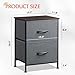 WLIVE Nightstand, 2 Drawer Dresser for Bedroom, Small Dresser with 2 Drawers, Bedside Furniture, Night Stand, End Table with Fabric Bins for Bedroom, Closet, Entryway, College Dorm, Dark Grey