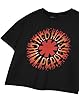 Red Hot Chili Peppers Flame Black Cropped Graphic Tee for Women | Short Sleeve T-Shirt | Rock Band Flame Logo Apparel Gift Idea | Alternative Music Merchandise for Women #5