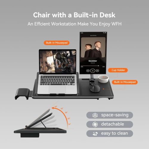 Image of DROGO Ergonomic Office Chair for Work from Home, High Back Computer Chair with Adaptive Lumbar Support, 4D Armrest, Tray, Recline, Adjustable Height & Headrest, Mesh Chair for Office /Home (Black)