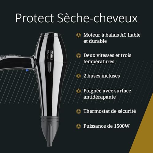 Sèche-cheveux professionnel puissant brossage cheveux épais