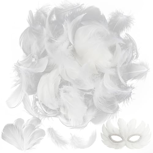 Faburo Lot de 300 Plumes Blanc 5 à 8 cm, Naturel Plume Décoration pour Bricolage, Plumes Artisanales pour Attrape-rêves, Mariage, fête, Chapeaux, Costumes,...