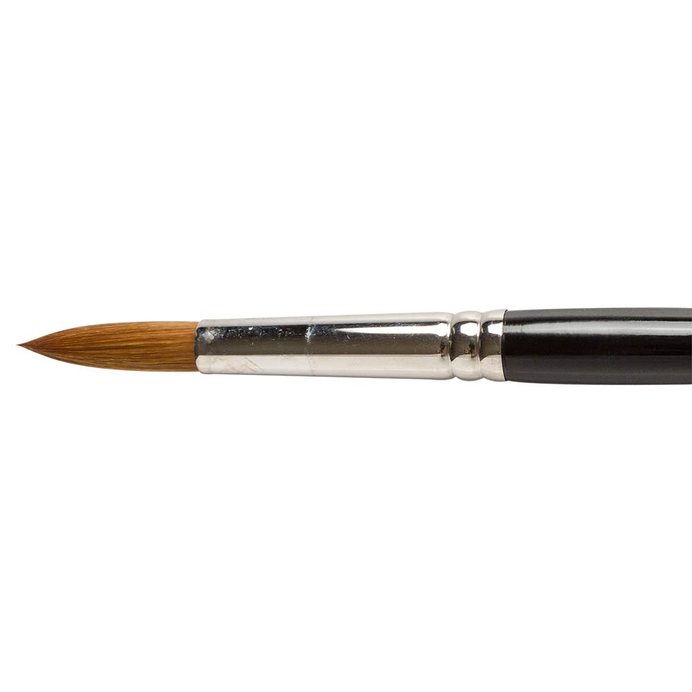 Pro Arte : Prolene Round Synthetic Watercolour Brush Series 101 Size 12 by Pro Arte