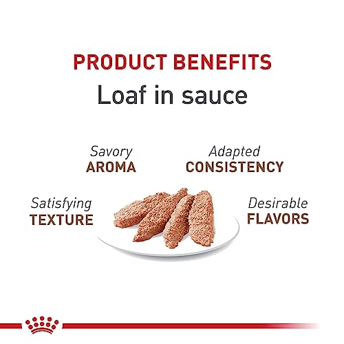 Royal Canin Feline Health Nutrition Aging 12+ Senior Loaf in Sauce Cat Food, 5.1 oz (Pack of 24)