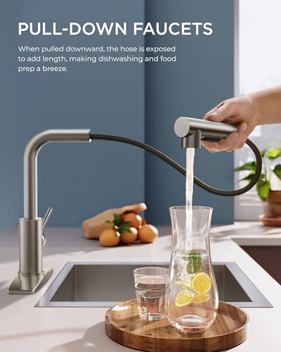 Image of FORIOUS Kitchen Faucet with Pull Out Sprayer, Single Handle, Brushed Nickel