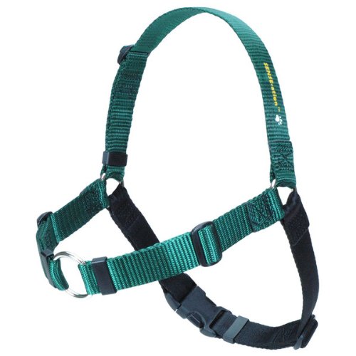 The Original Sense-ation No-Pull Dog Training Harness (Green, Medium)