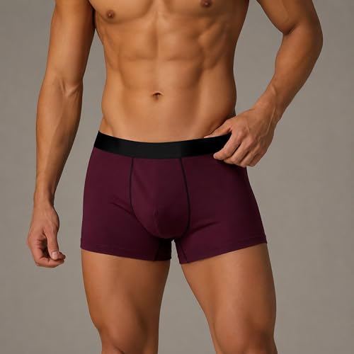Image of Men's Extra Thin Elastic Underwear Long Comfortable Ice Silk Breathable Comfort Brief-Boxer-Trunks Imported Material Pack of 4