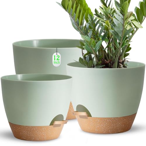 Sun-E 3pack 30.5 25.4 22.86cm Macetas Autorriego Para Perezosos, Macetero Autorriego De Plástico Verde Para Todas Las Plantas De Interior, Suculentas, Violetas Africanas, Flores Y Cactus Sun-E 3pack 30.5 25.4 22.86cm Macetas Autorriego Para Perezosos, Macetero Autorriego De Plástico Verde Para Todas Las Plantas De Interior, Suculentas, Violetas Africanas, Flores Y Cactus