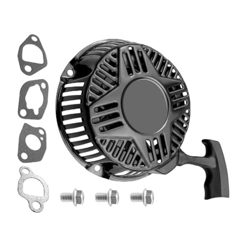 �������@�p�����p�v���X�^�[�^�[ �ȒP�ȍH��s�v�̎��t�� �ϕ��H�� ���S�ȍ������@�A�Z���u��