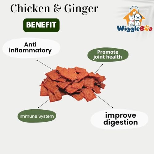 Image of Chicken & Ginger Treat for Dog | Mega Pack | Protein Rich | Anti-Inflammatory | Crunchy Healthy Snacks | (45Grm)