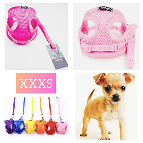 teacup chihuahua puppy harness