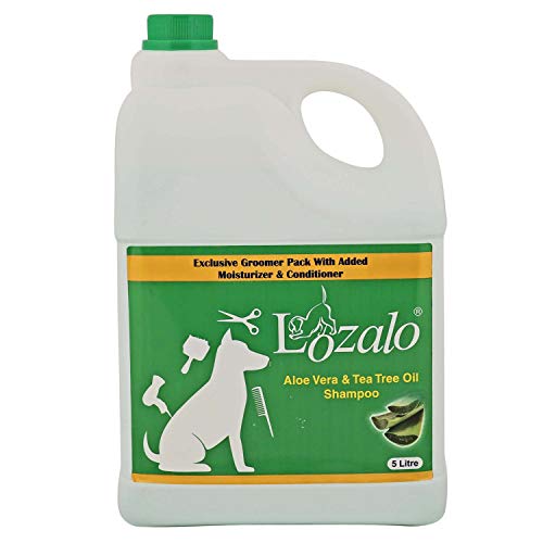Lozalo Aloe Vera & Tea Tree Oil Pet Care Shampoo for Dogs & Cats (5 Litre)