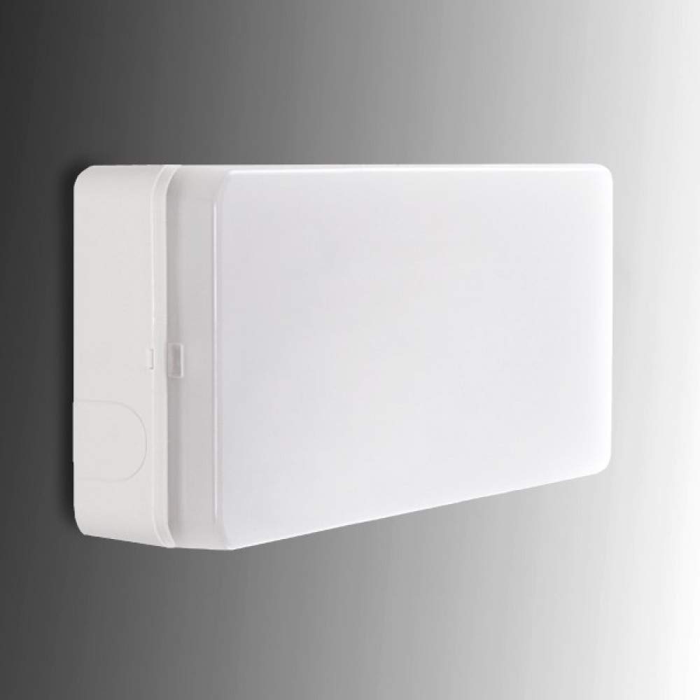 Alumbrado Emergencia LED Esera 100Lm 1 Hora IP44 | Greenice