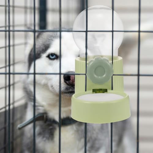 Dispensador de agua colgante de 1000ml en plástico verde transparente 7
