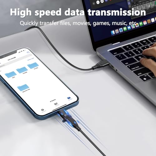 Image of Kinsound USB OTG (Black USB C to Lightning OTG)