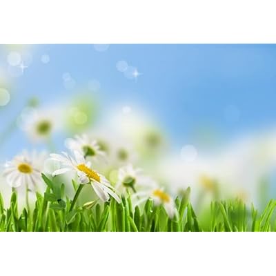 Mening erim mushuk yalagan va xoroz.