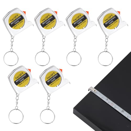 6 Pack Small Tape Measure Keychains, Mini Tape Measures Retractable, with Slide Lock Automatic Rebound for Daily Use, Bright Silver Electroplating 3 Feet(100cm)