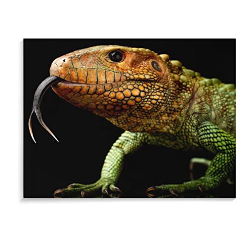 Minimalist Poster Animal Peruvian Alligator Lizard Art Posters Canvas Wall Art Prints For Wall Decor Room Decor Bedroom Decor Gifts Posters 24X32Inch(60X80Cm) Frame-Style #TOP7