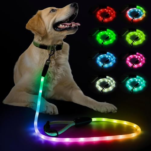 Leuchtende Hundeleine – LED-Hundeleine Typ C wiederaufladbar, 13 Leuchtmodi, im Dunkeln leuchtende Haustierleine für mittelgroße und große Hunde, Sicherheit bei Nacht (RGB, 4 FT)