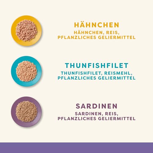Applaws Katze Dose Kitten Multipack, 6er Pack (6 x 70 g)