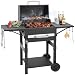 Portable BBQ Barbecue Grill Outdoor Compact Smoker Barbeque Charcoal BBQ Grill Smoker with Side Shelves Temperature Gauge, Warming Rack, and Air Vents for Camping and Garden
