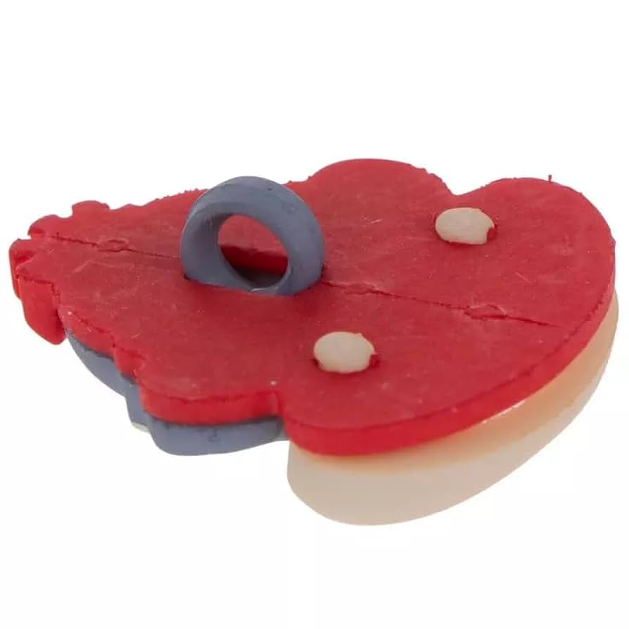 ハンドメイドcan can Amazon.com: Shank Buttons for Sewing Craft Projects (Sock