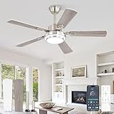 Fanbulous 48 Inch Ceiling Fans with Lights and Remote, Brushed Nickel Ceiling Fan with 8 Dual-Color Blades, Indoor/Outdoor Large Ceiling Fans, Reversible DC Motor, 6-Speed, 3CCT for Living Porch Patio