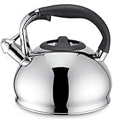 Easyworkz visslande tekanna i rostfritt stål med hög visselpipa, 2,5 L kokande vattenkokare