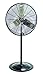 TPI CACU30P 30" Commercial Pedestal Fan