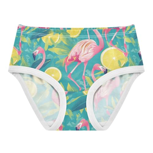 Wusikd Flamingos Girls' Underwear Cotton Slices Girls Briefs Soft Toddler Underwear 2T